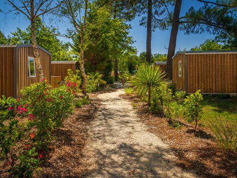 Camping L'Orée Du Bois - Camping Gironde - Image N°43