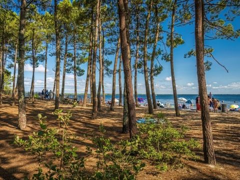 Camping L'Orée Du Bois - Camping Gironde - Image N°45