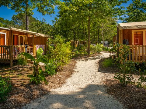 Camping L'Orée Du Bois - Camping Gironde - Image N°42