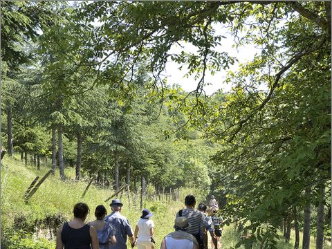 Camping Ushuaia Villages L’Oasis - Camping Ardèche - Image N°47