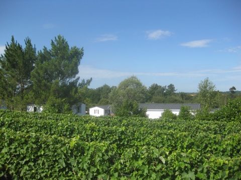 Camping La Motte - Camping Charente-Maritime - Image N°38