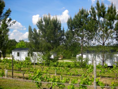 MOBILHOME 4 personnes - Mobilhome 4 personnes