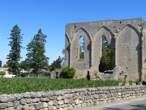 Camping La Motte - Camping Charente-Maritime - Image N°96