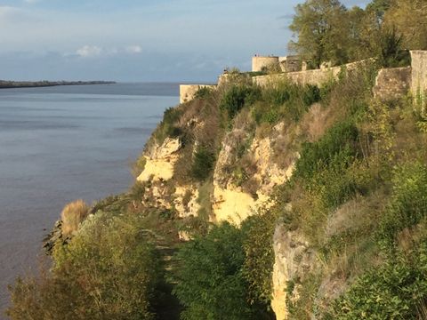 Camping La Motte - Camping Charente-Maritime - Image N°114