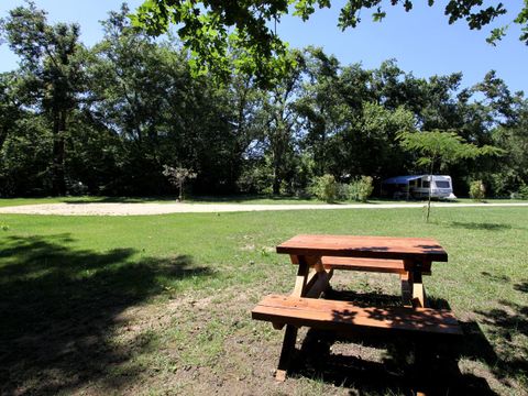Camping au Fil de l'eau - Camping Dordogne - Image N°28