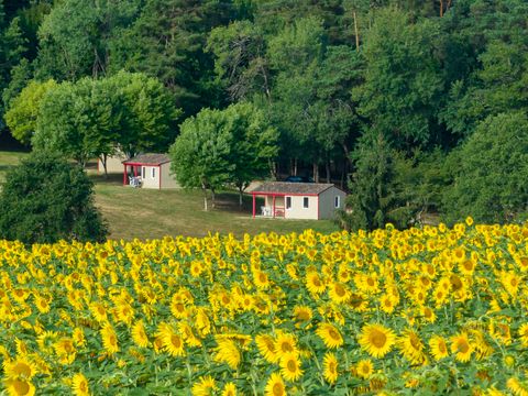 La Forêt Enchantée - Camping Dordogne - Image N°6