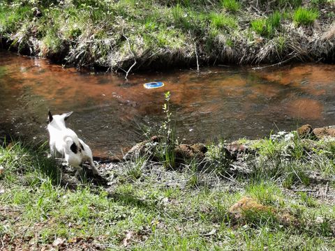 Camping La Petite Rivière - Camping Corrèze - Image N°21