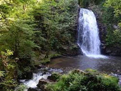Camping La Petite Rivière - Camping Corrèze - Image N°20
