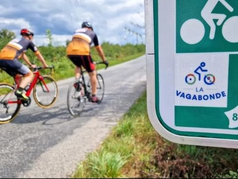 Domaine de Lallé - Camping Corrèze - Image N°17