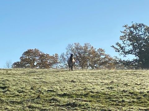 Domaine La Valade - Camping Corrèze - Image N°9