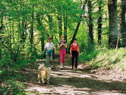 Camping du Lac de Bournazel - Camping Corrèze - Image N°9