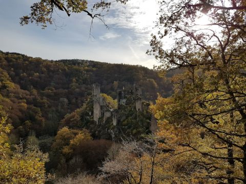 Camping du Lac de Bournazel - Camping Corrèze - Image N°17