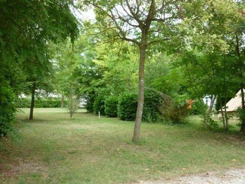 Emplacement - CONFORT avec éléc / tente, caravane ou camping car - 100 à 200m² ELECTRICITE INCLUSE