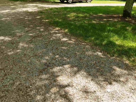 Emplacement - CONFORT avec éléc / tente, caravane ou camping car - 100 à 200m² ELECTRICITE INCLUSE