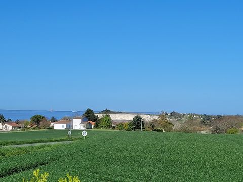 Camping Bellevue - Camping Charente-Maritime - Image N°23