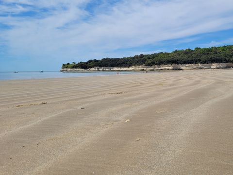 Camping Bellevue - Camping Charente-Maritime - Image N°22
