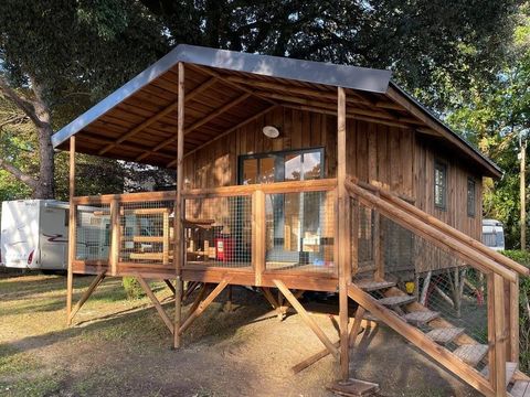Insolite 5 personnes - ECOLODGE CAPE TOWN