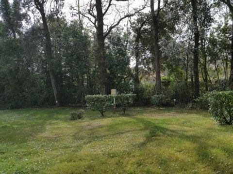 Emplacement - 3 personnes + 1 voiture, accès Wifi, sanitaires, eau chaude, WC, douches