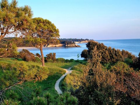 Camping Les Loges - Camping Charente-Maritime - Image N°27