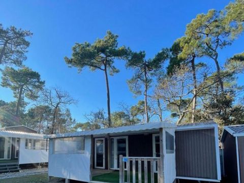 MOBILHOME 6 personnes - 6 Pers Classique
