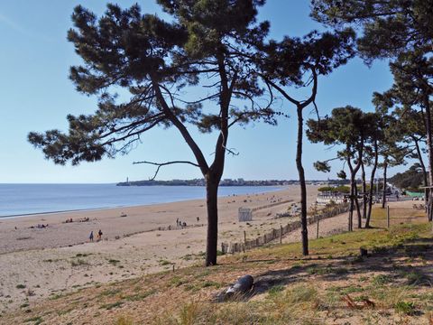 Camping le Dauphin - Camping Charente-Maritime - Image N°25