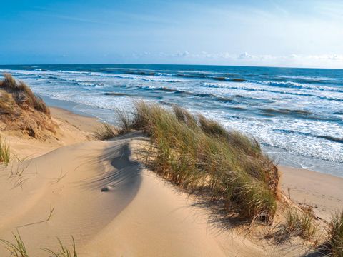 Camping le Dauphin - Camping Charente-Maritime - Image N°31