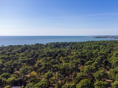 Camping le Dauphin - Camping Charente-Maritime - Image N°21