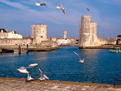 Camping le Dauphin - Camping Charente-Maritime - Image N°37