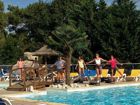 Camping le Dauphin - Camping Charente-Maritime - Image N°14