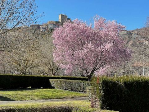 Camping Le Pré - Camping Puy-de-Dôme - Image N°8