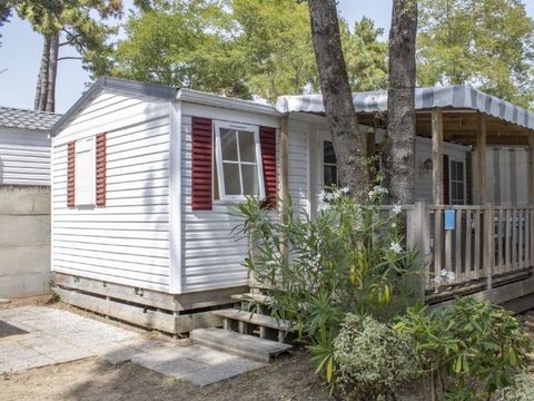 Mobilhome 4 personnes - Mobile-home CALYPSO***
