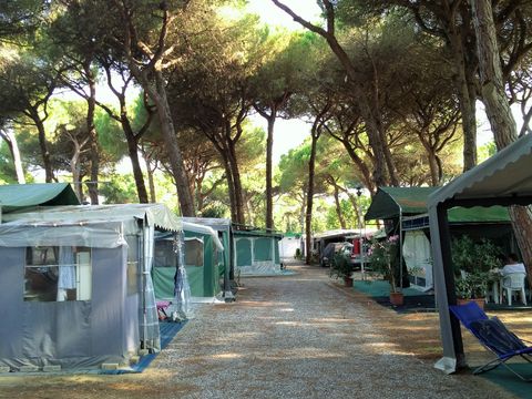Emplacement - Dog