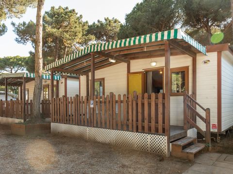 LODGE 3 personnes - Lodge Animali Ammessi