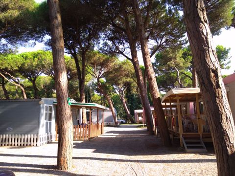 Rivaverde Camping Village - Camping Ravenne - Image N°15