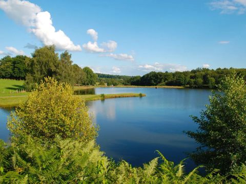 Flower Camping l'Air du Lac - Camping Haute-Vienne - Image N°21