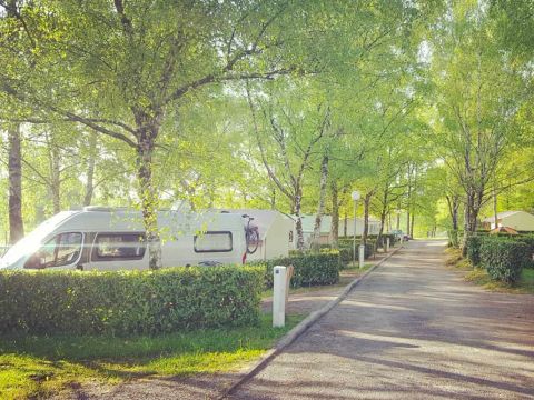 Flower Camping l'Air du Lac - Camping Haute-Vienne - Image N°12
