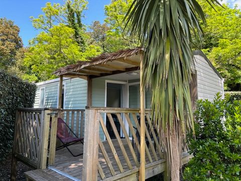 MOBILHOME 4 personnes - Mobilhome Adriatique - 26m² - 2 chambres