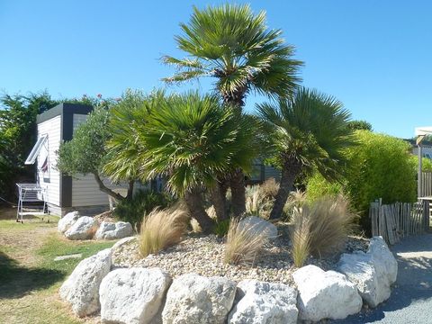 Camping Tahiti Village - Camping Charente-Maritime - Image N°8