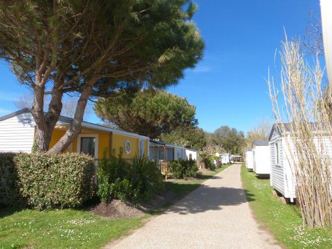 Camping Tahiti Village - Camping Charente-Maritime - Image N°10