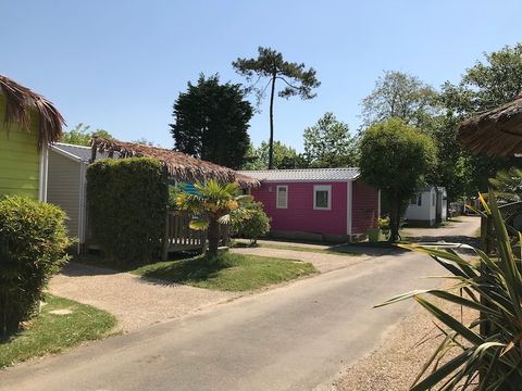 Camping Tahiti Village - Camping Charente-Maritime - Image N°13