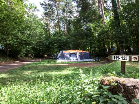 Camping du Lac d'Aydat - Camping Puy-de-Dôme - Image N°33