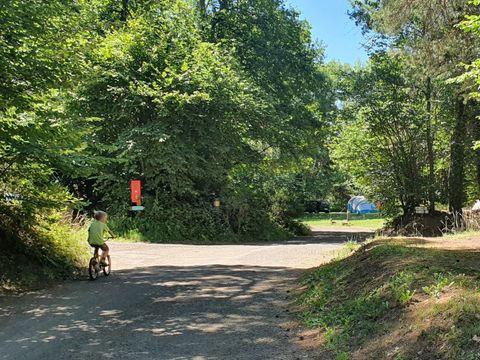 Camping du Lac d'Aydat - Camping Puy-de-Dôme - Image N°19