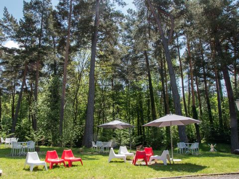 Camping du Lac d'Aydat - Camping Puy-de-Dôme - Image N°14