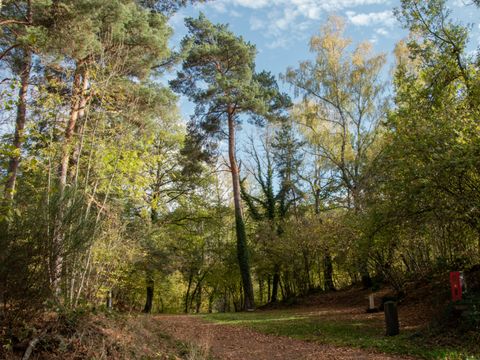 Camping du Lac d'Aydat - Camping Puy-de-Dôme - Image N°30