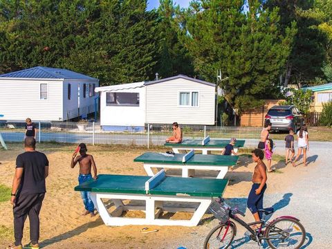 Camping Au Joyeux Faune - Camping Charente-Maritime - Image N°11