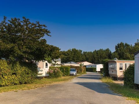 Camping Au Joyeux Faune - Camping Charente-Maritime - Image N°27