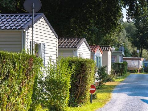 Camping Au Joyeux Faune - Camping Charente-Maritime - Image N°3