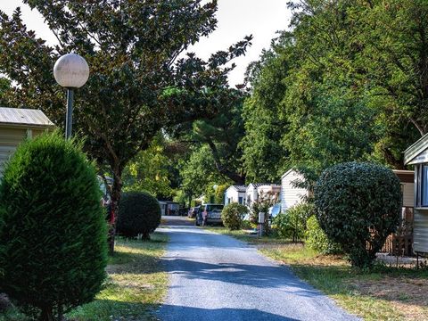 Camping Au Joyeux Faune - Camping Charente-Maritime - Image N°12