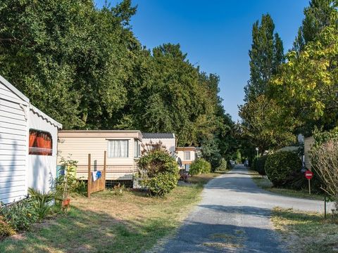 Camping Au Joyeux Faune - Camping Charente-Maritime - Image N°26
