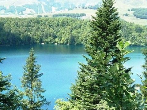 Camping Les Dômes - Camping Puy-de-Dôme - Image N°25
